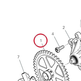 Engrenage pompe 17410852C — réf. 17410852C | Ducati Store