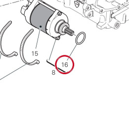 O ring 24,4X3,1 88643151A — réf. 88643151A | Ducati Store