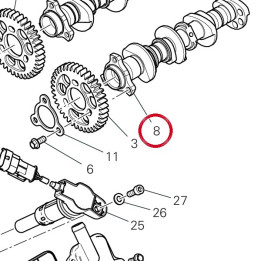 Arbre À cames échappement — réf. 14816691A | Ducati Store