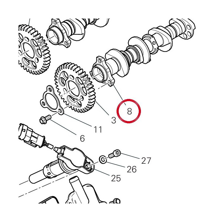 Arbre À cames échappement — réf. 14816691A | Ducati Store