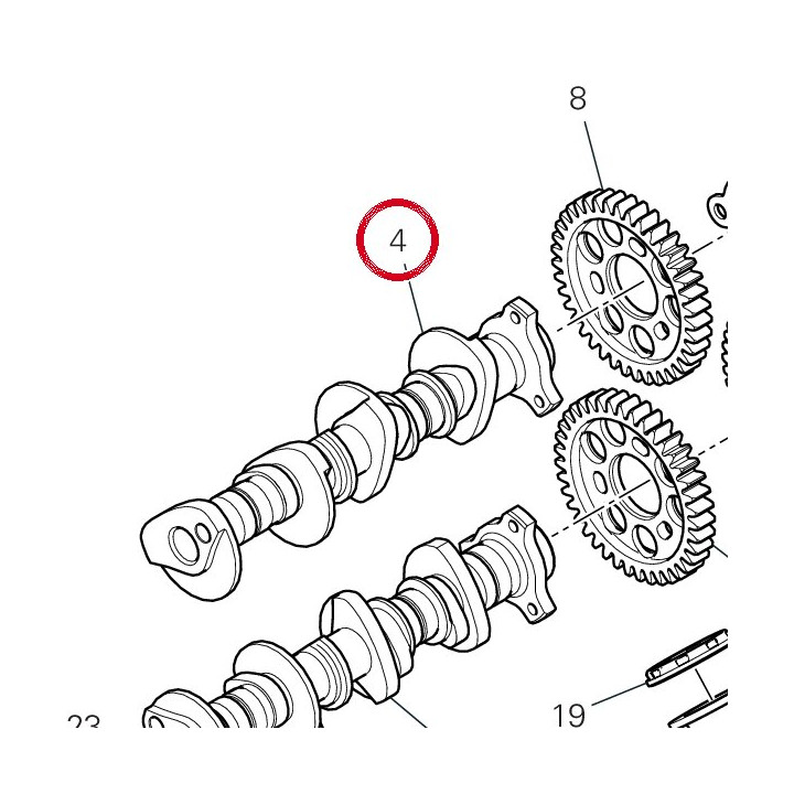 Arbre À cames échappement — réf. 14816281A | Ducati Store