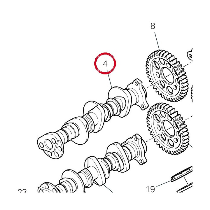 Arbre À cames admission — réf. 14816661A | Ducati Store