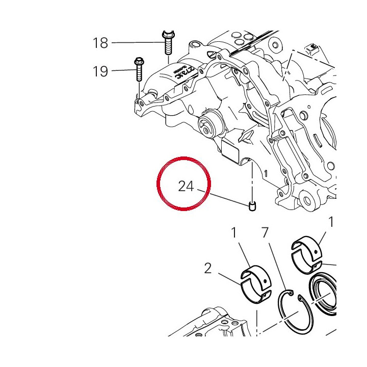 Vis sans tête filetée — réf. 77810221A | Ducati Store