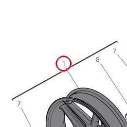 Jante roue av. carbone — réf. 501P3081AA | Ducati Store