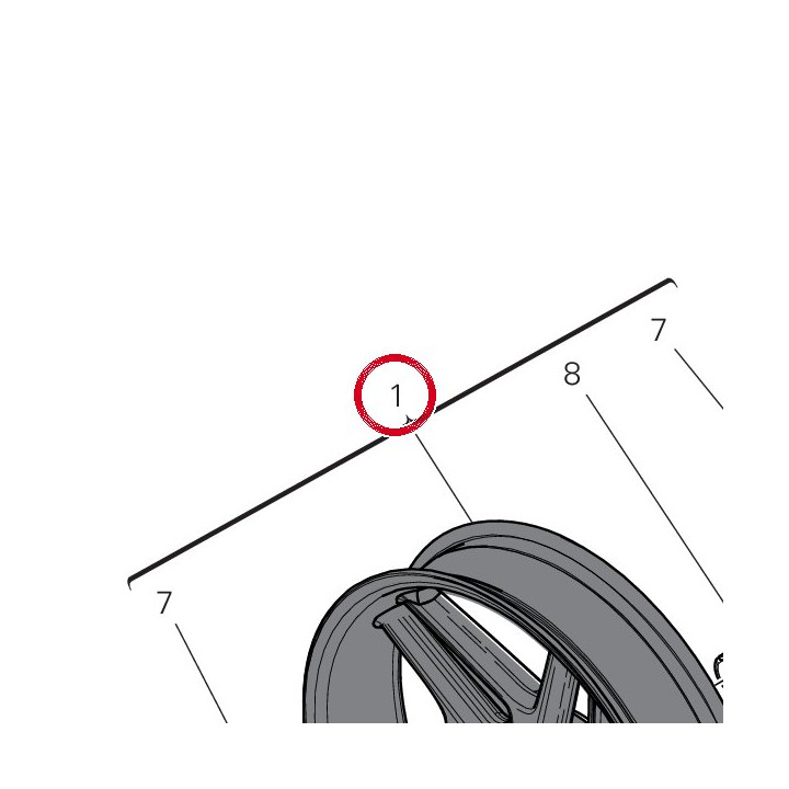 Jante roue av. carbone — réf. 501P3081AA | Ducati Store