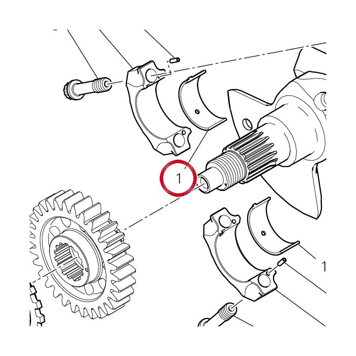 Demi-Roulement vert — réf. 11211031AE | Ducati Store
