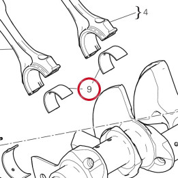 Demi-Roulement vert — réf. 11211041AE | Ducati Store