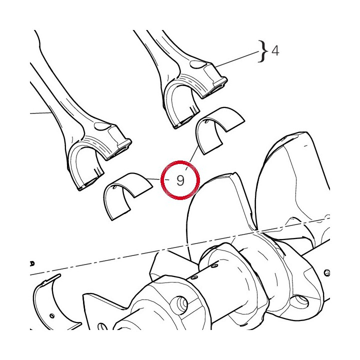 Demi-Roulement vert — réf. 11211041AE | Ducati Store
