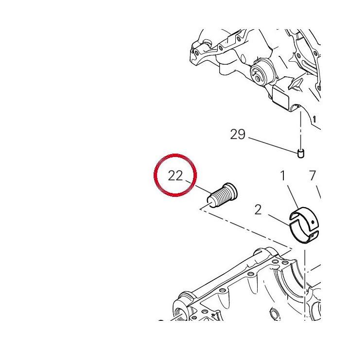 Douille gauche 71118081AA — réf. 71118081AA | Ducati Store