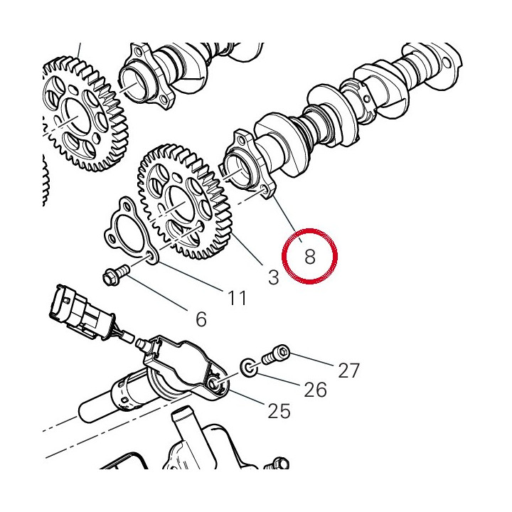 Arbre À cames échappement — réf. 14816841A | Ducati Store