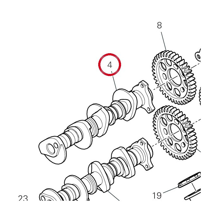 Arbre À cames admission — réf. 14816551A | Ducati Store