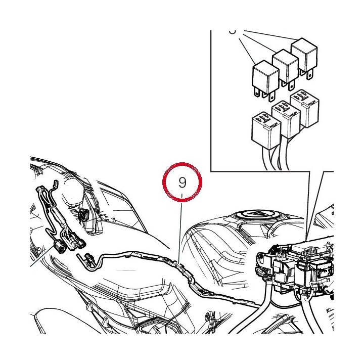 C╢blage principal 5101R331B — réf. 5101R331B | Ducati Store