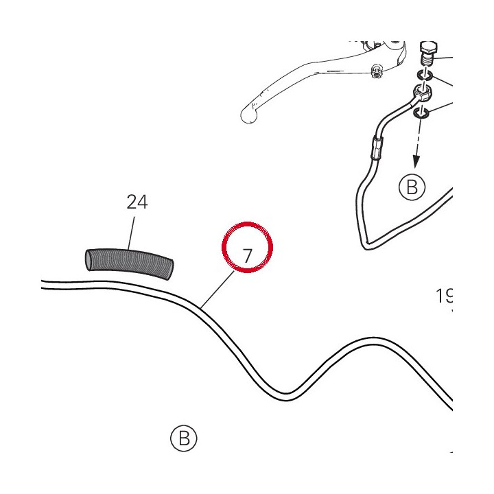 Durit Boitier-Etrier — réf. 61912231B | Ducati Store
