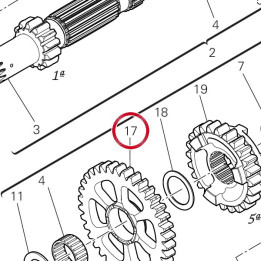1St driven gear Z38 I=65 — réf. 17216341A | Ducati Store