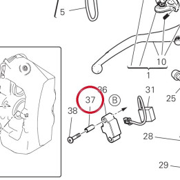 Douille 71114113AA — réf. 71114113AA | Ducati Store