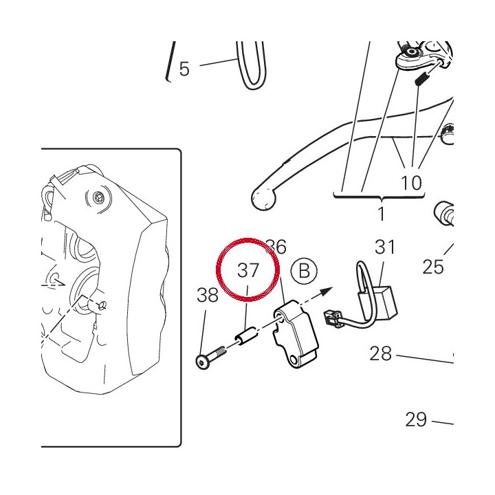 Douille 71114113AA — réf. 71114113AA | Ducati Store