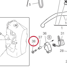 Vis 77240343C — réf. 77240343C | Ducati Store