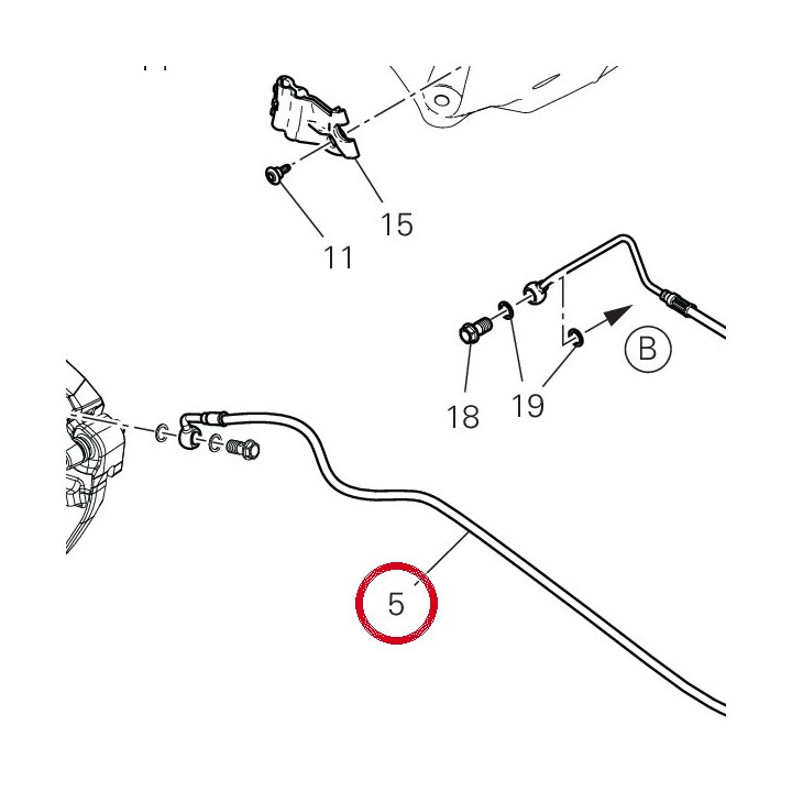 Tubo freno posteriore — réf. 61912181A | Ducati Store