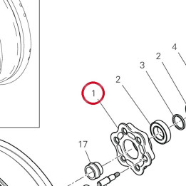 Bride Porte-Couronne — réf. 16026971A | Ducati Store