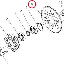 Couronne D42 49412111AB — réf. 49412111AB | Ducati Store