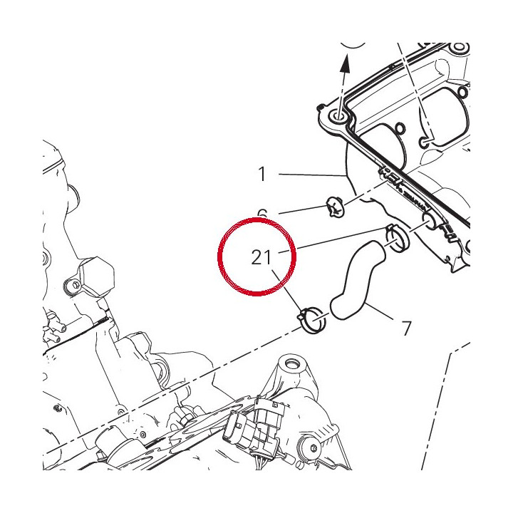Collier 26/8 mm 74141491A — réf. 74141491A | Ducati Store
