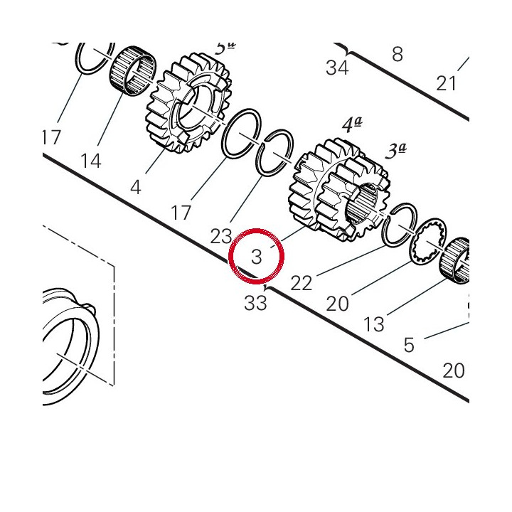 Engrenage menant 3/4Me — réf. 17216901A | Ducati Store
