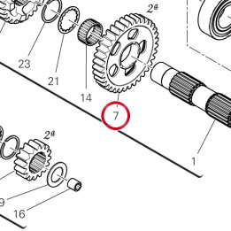 Engrenage entraine 2Me — réf. 17215771B | Ducati Store