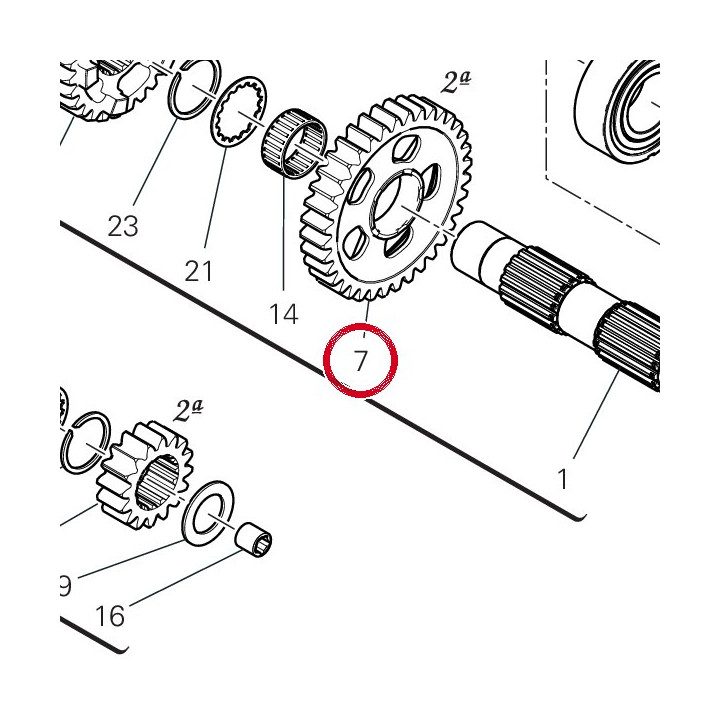 Engrenage entraine 2Me — réf. 17215771B | Ducati Store