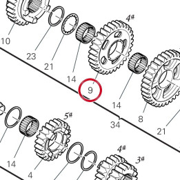 Engrenage entraine 4Me — réf. 17215791A | Ducati Store