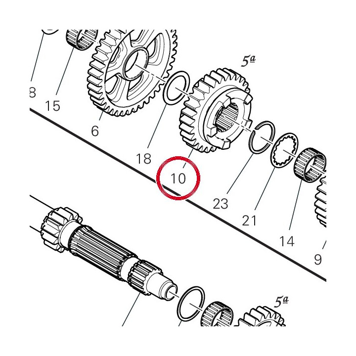 Engrenage entraine 5Me — réf. 17215801A | Ducati Store