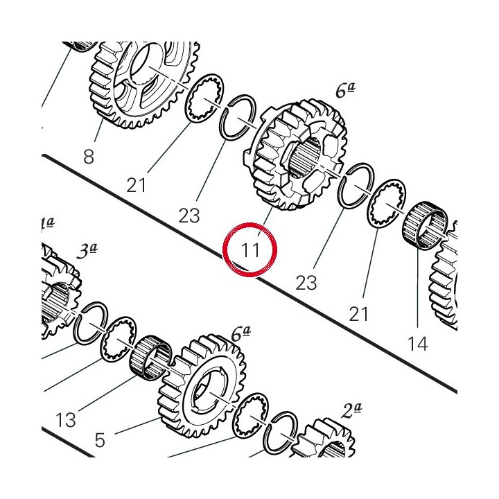 Engrenage entraine 6Me — réf. 17215811A | Ducati Store