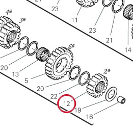 Engrenage conducteur 2Ème — réf. 17215731B | Ducati Store