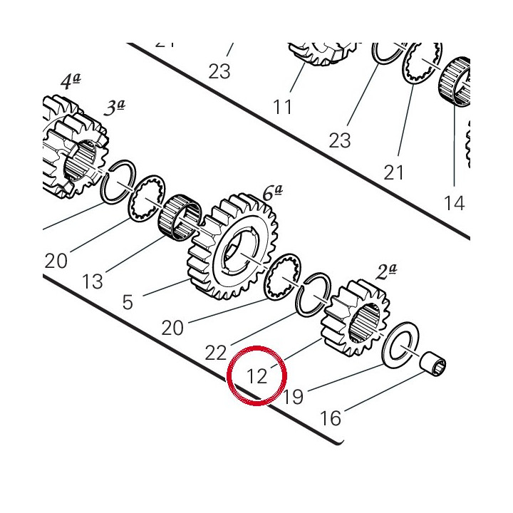 Engrenage conducteur 2Ème — réf. 17215731B | Ducati Store