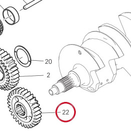 Pignon transmission — réf. 17011661B | Ducati Store
