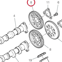 Engranage D39 17112222B — réf. 17112222B | Ducati Store