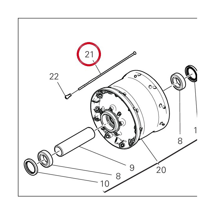 Rayon 49610151A — réf. 49610151A | Ducati Store
