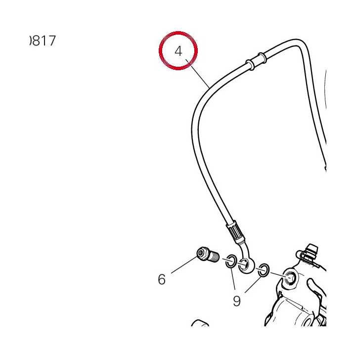 Tuyau frein avant 61811371A — réf. 61811371A | Ducati Store