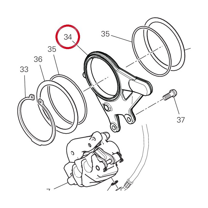 Caliper holder plate V21E — réf. 82510771AA | Ducati Store