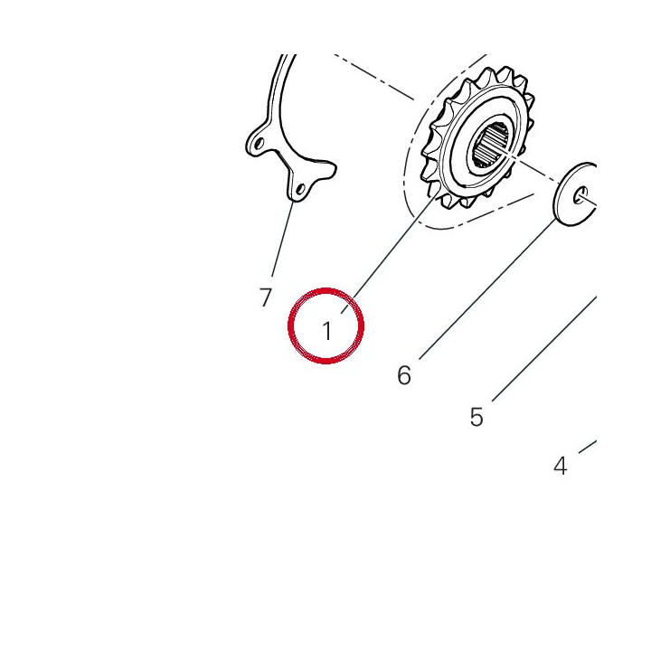 Pignon – chaîne 44910951A — réf. 44910951A | Ducati Store