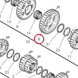 Engrenage entraine 3Me — réf. 17215781B | Ducati Store