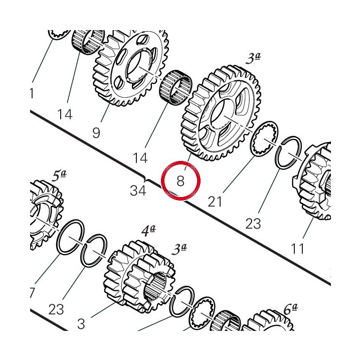 Engrenage entraine 3Me — réf. 17215781B | Ducati Store