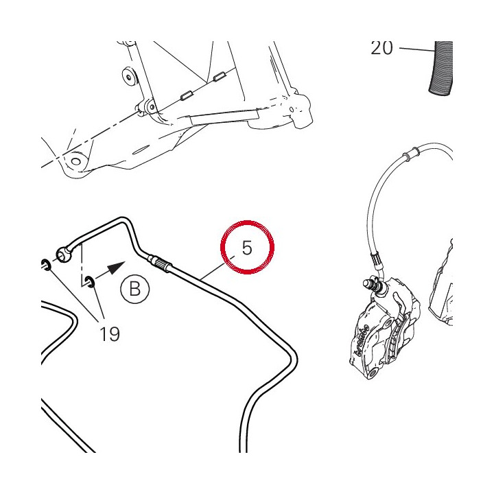 Durit Boitier-Etrier — réf. 61911183A | Ducati Store