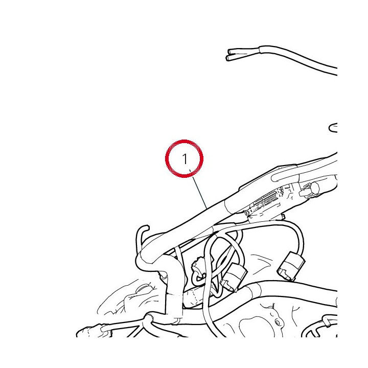 Câblage électrique 5101P281C — réf. 5101P281C | Ducati Store