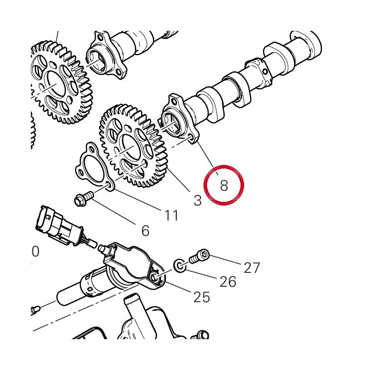 Arbre À cames échappement — réf. 14816541A | Ducati Store