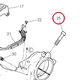 Vis special 77918251AA — réf. 77918251AA | Ducati Store