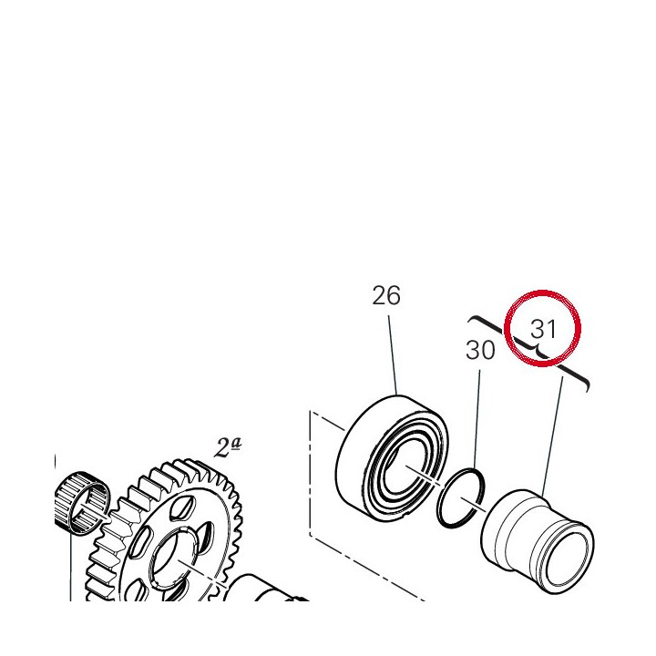 Entretoise pignon chaîne — réf. 713P0021A | Ducati Store