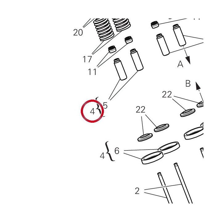 Culasse arrière — réf. 30125434DRI | Ducati Store