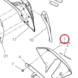 Cache radiateur gauche — réf. 4801D144AB | Ducati Store