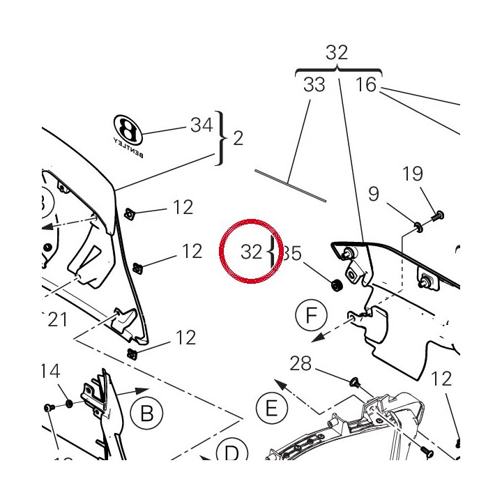 Cache radiateur gauche — réf. 480PE711BB | Ducati Store