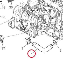 Tuyau entree D'Eau cylindre — réf. 80011852B | Ducati Store